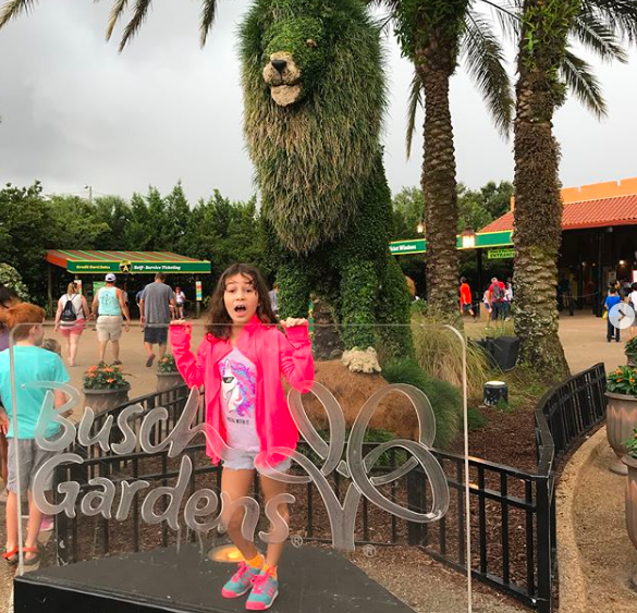 Screen Shot 2018-08-27 at 9.14.00 AM